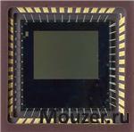CYIL1SM0300AA-QDC
