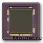 CYIL1SM4000AA-GDC