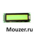 LCM-S01602DSR/C
