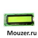LCM-S01602DSF/F