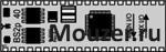 BS2P40-IC