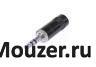 NYS231B