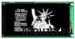 GU256X128C-3900