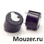 AI-2437-TWT-R