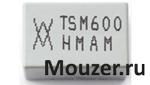 TS600-170F-2